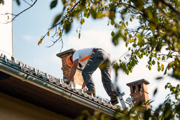 Best Roof Repair Services  in Coquille, OR